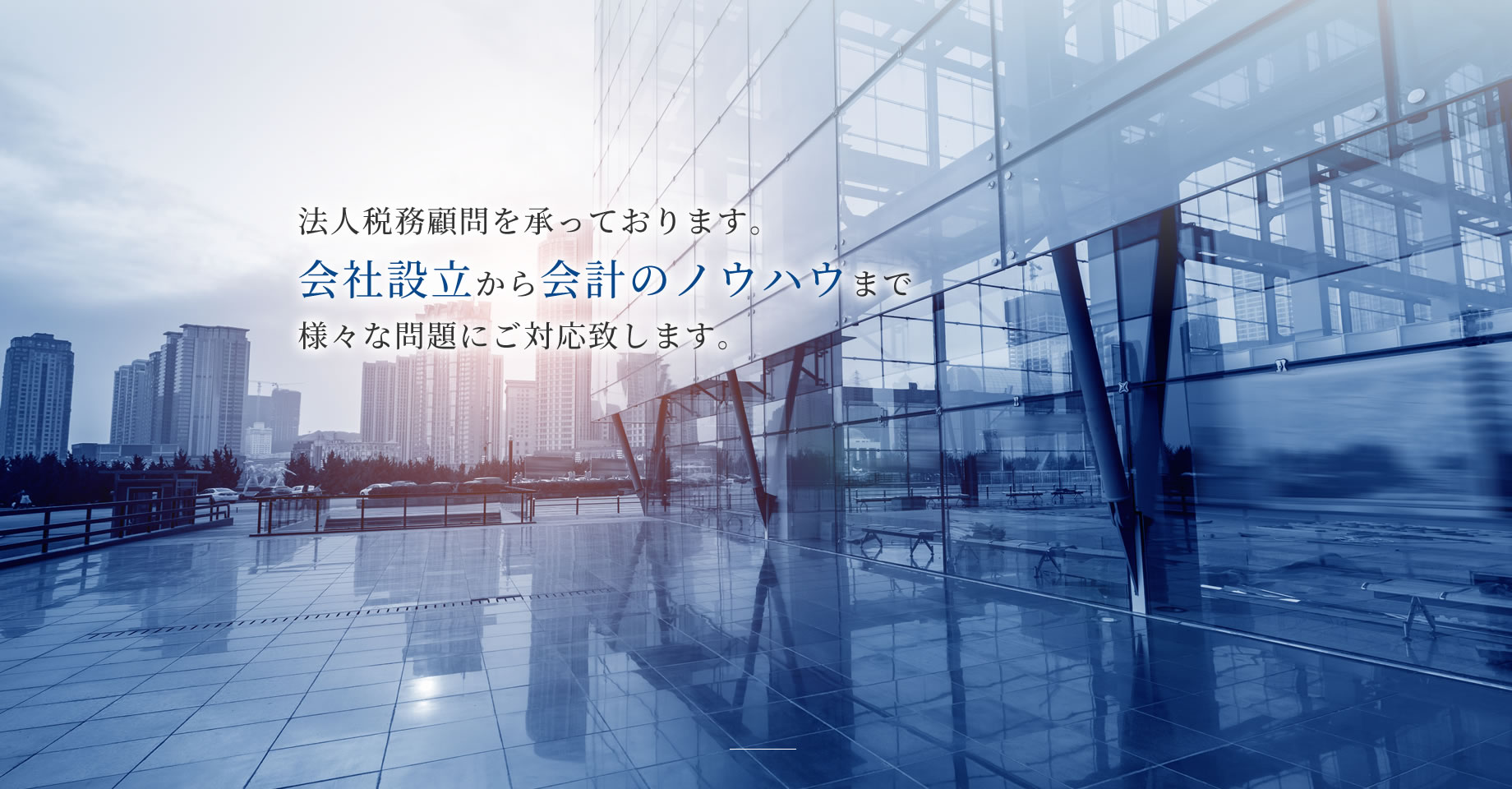 法人税務顧問を承っております。会社設立から会計のノウハウまで様々な問題にご対応致します。